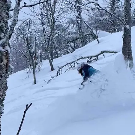 In & Out - Fjellandsbyen