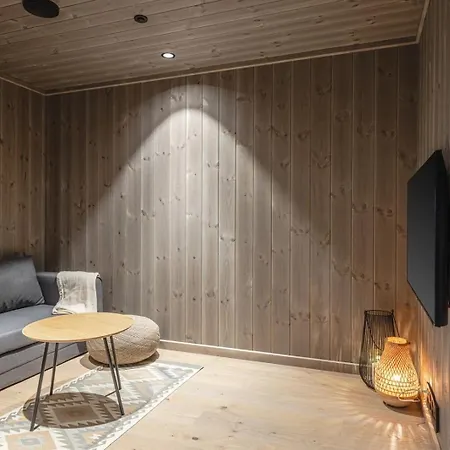 Modern And Practical Ski In & Out Apartment Hemsedal