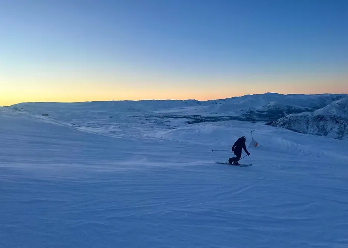 Modern And Practical Ski In & Out Apartment Lägenhet